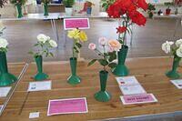 IMG 9945r